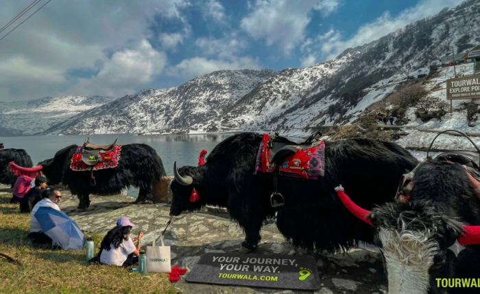 Bishum Phudung Tour – Tourwala