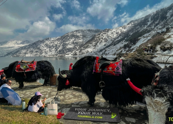Bishum Phudung & Gangtok Forest Hike – Arunachal Pradesh [5 Days]