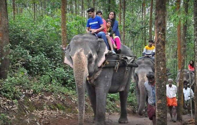 Kerala Family Tour Package – Cochin Munnar Thekkady Alleppey
