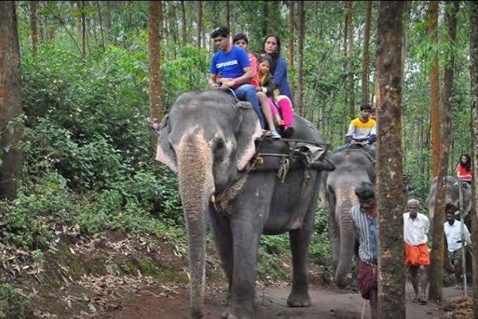 Kerala Family Tour Package – Cochin Munnar Thekkady Alleppey