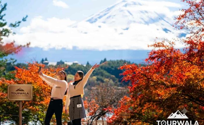 Japan Friends Tour Package from India
