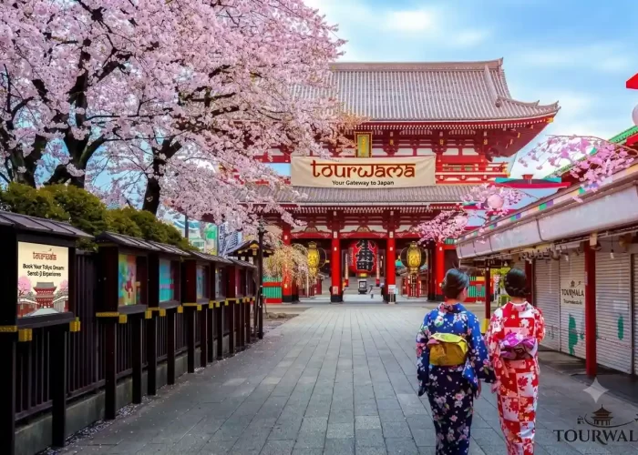 Japan Grand Tour Package from India