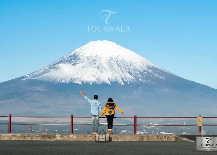 Japan Honeymoon Package from India