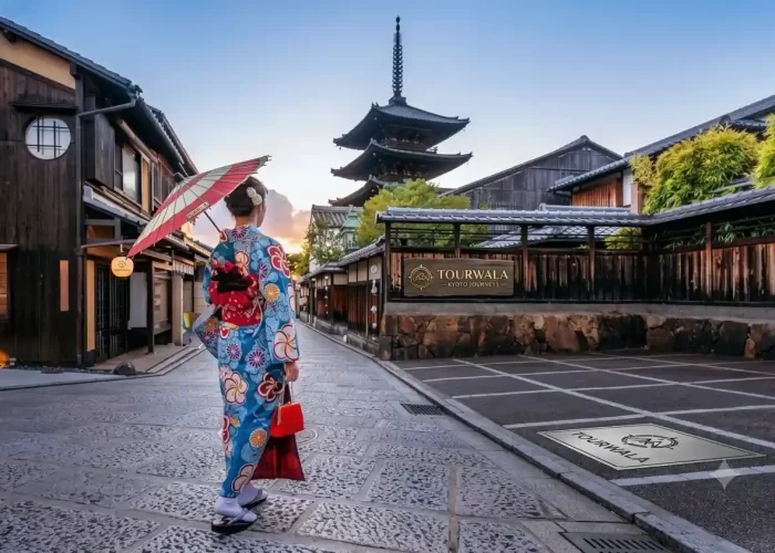 Japan Tour Package from India