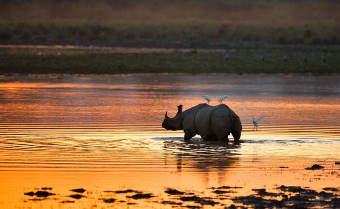 Kaziranga, Nameri & Meghalaya Tour – Best of Assam and Meghalaya