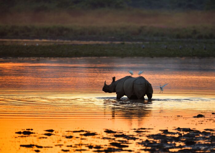 Kaziranga, Nameri & Meghalaya Tour – Best of Assam and Meghalaya