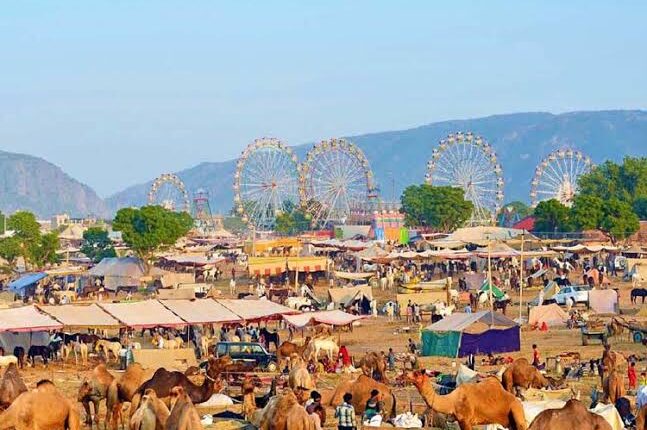 Pushkar Fair Tour Package