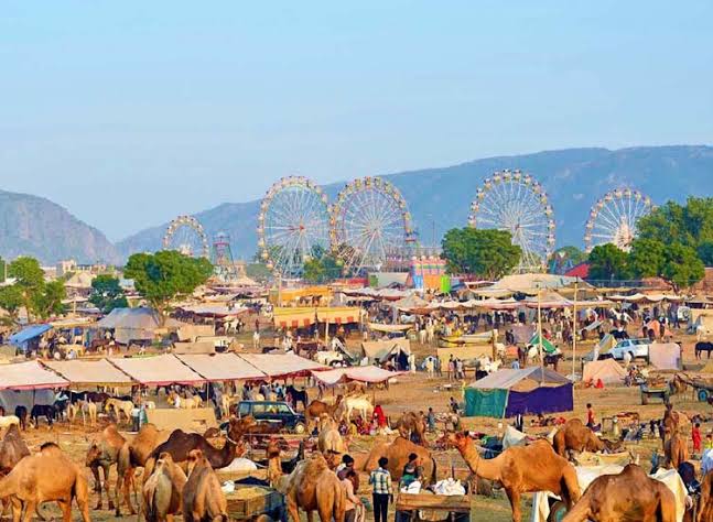 Pushkar Fair Tour Package