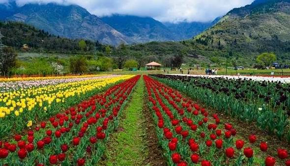kashmir summer package