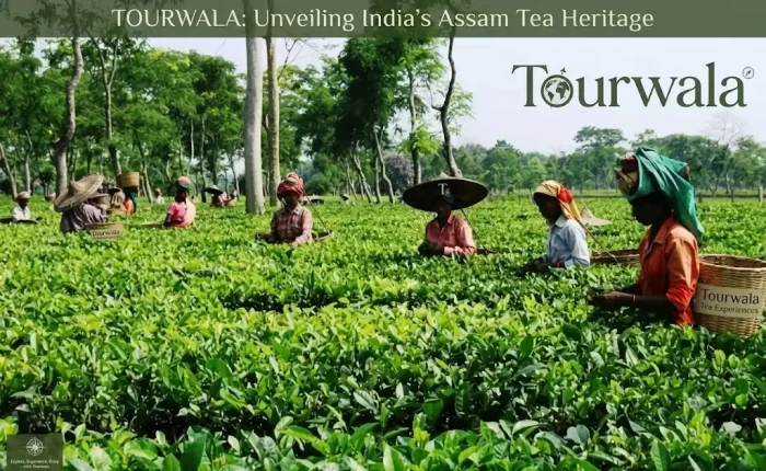 Assam luxury tour package