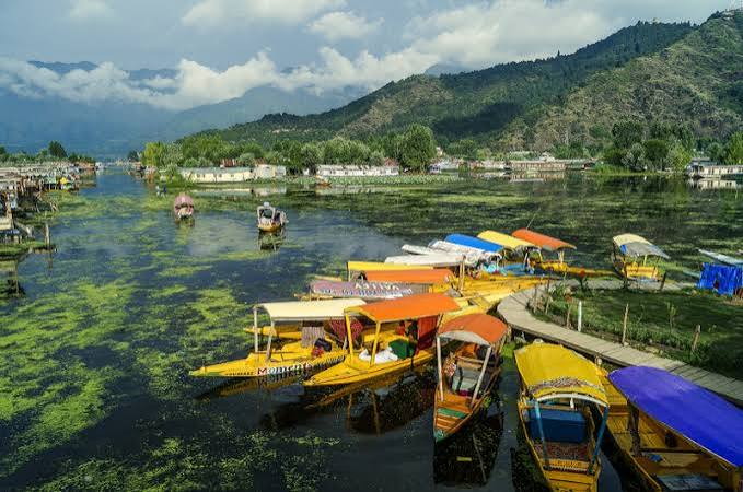 Kashmir 3 Nights 4 Days Tour Package