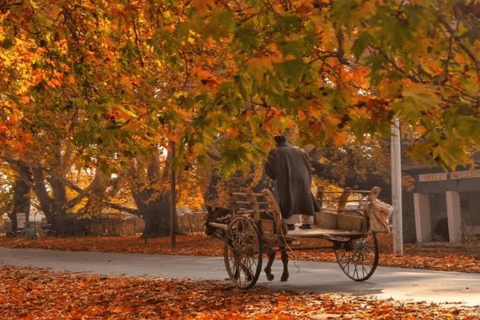 Kashmir Autumn Tour Package