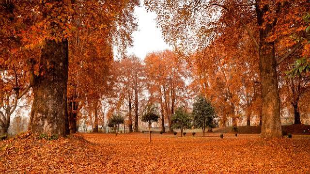 Kashmir Autumn Tour Package