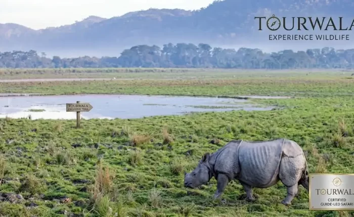 Kaziranga tour package