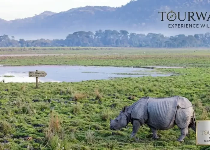 Kaziranga tour package