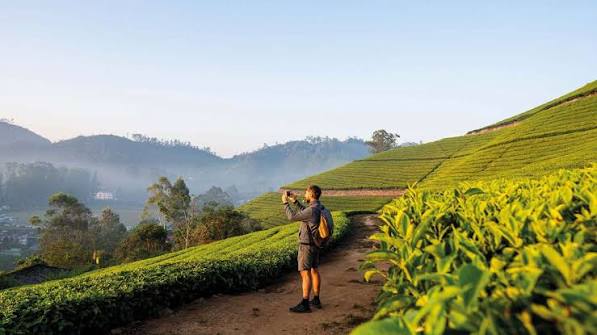 Kerala Ayurveda wellness package