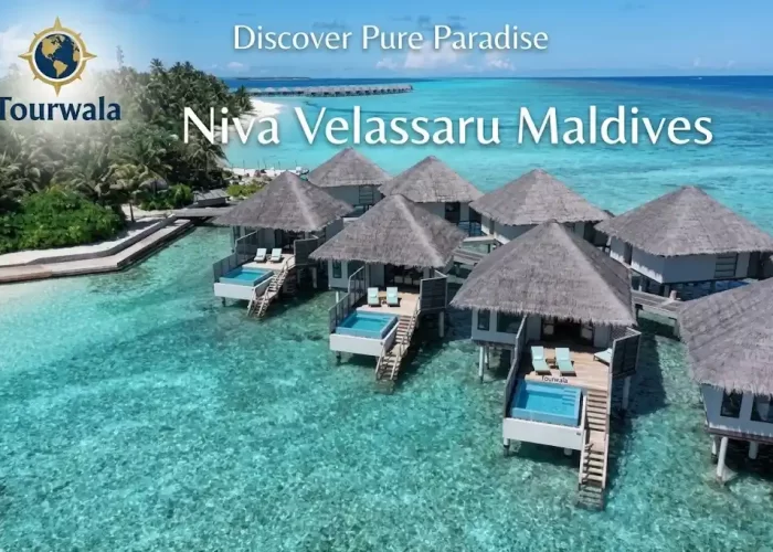 Niva Velassaru Maldives Package