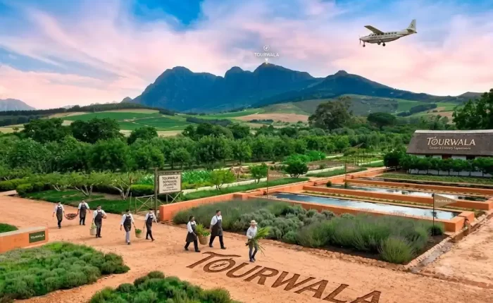 South Africa luxury multi city tour 2027
