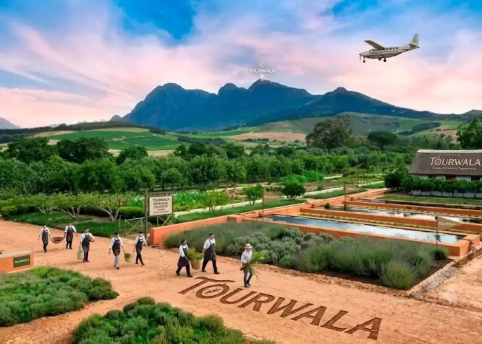 South Africa luxury multi city tour 2027
