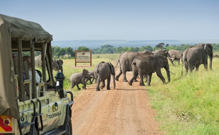 South Africa luxury safari and city tour 2027