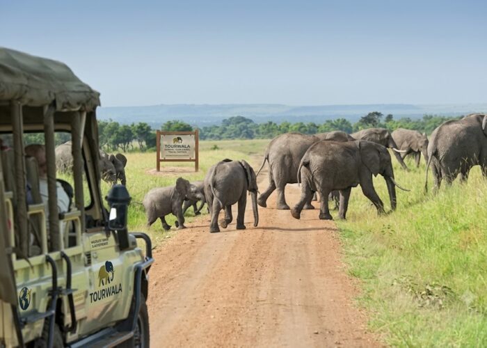 South Africa luxury safari and city tour 2027