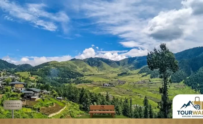 bhutan phobjikha tour package