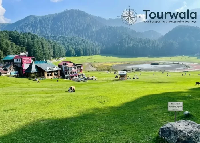 dharamshala dalhousie tour package