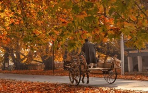Kashmir Autumn Tour Package