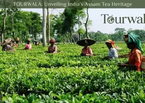 Assam luxury tour package